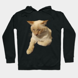 Blondie the cat Hoodie